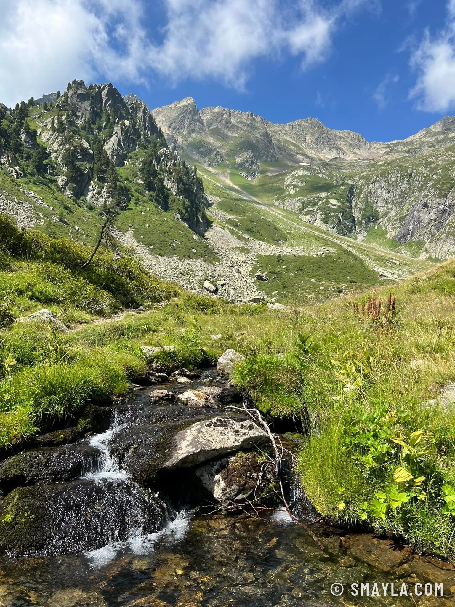 Ruisseau dans le vallon