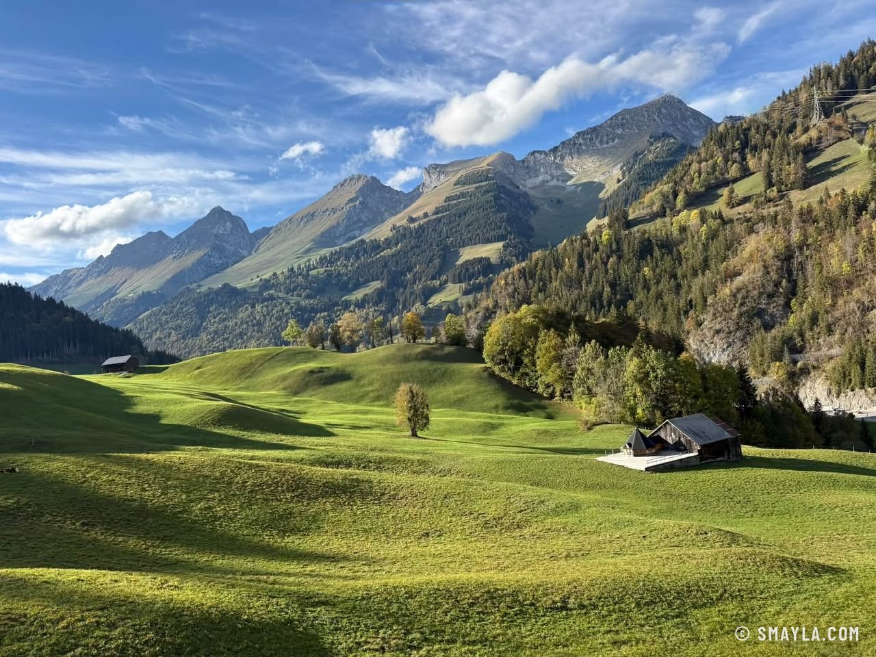 Green pasture around Jaun