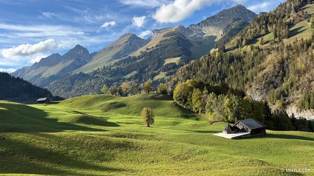 Green pasture around Jaun