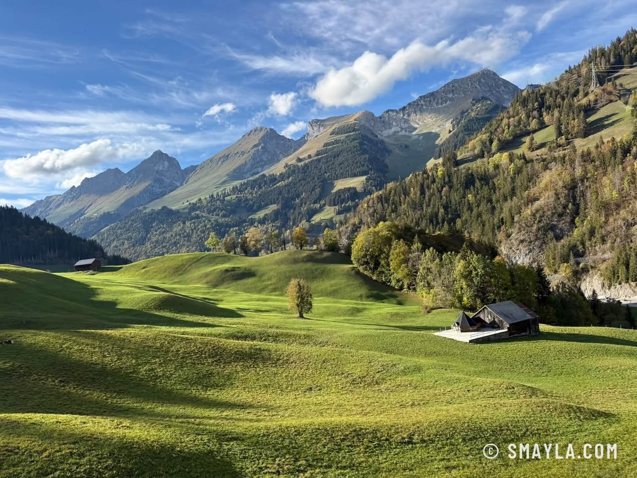 Pâturage vert du pays de Jaun