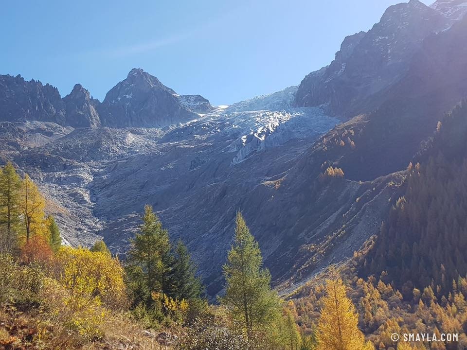 Le glacier et les mélèzes