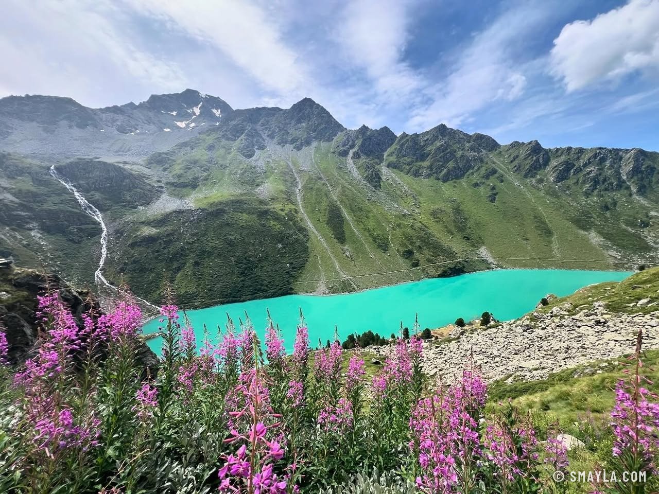Le lac de Cleuson et les épilobes