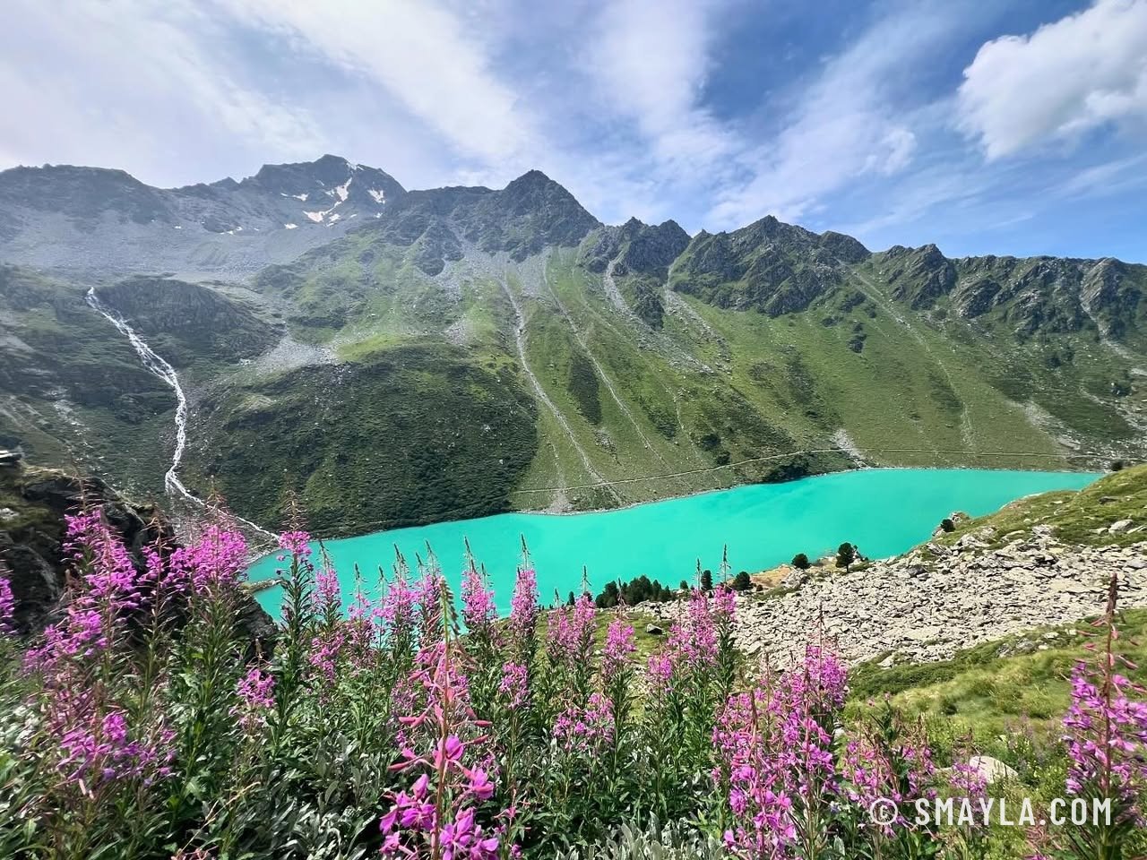 Le lac de Cleuson et les épilobes