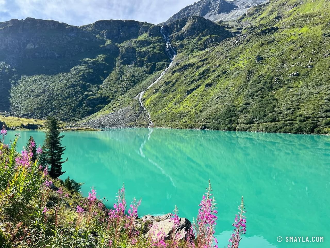 Rive turquoise et épilobes