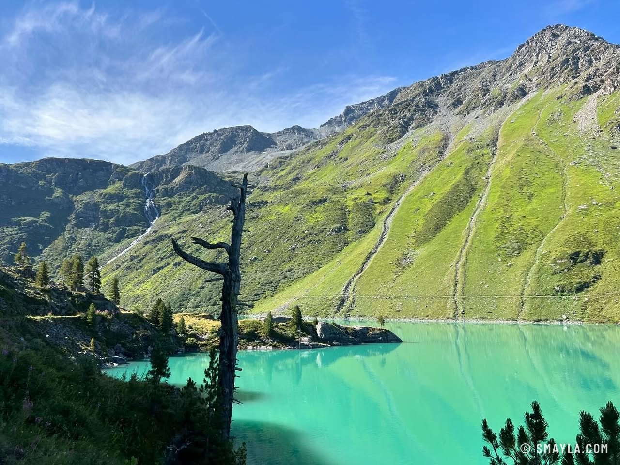 Arbre mort au-dessus du lac