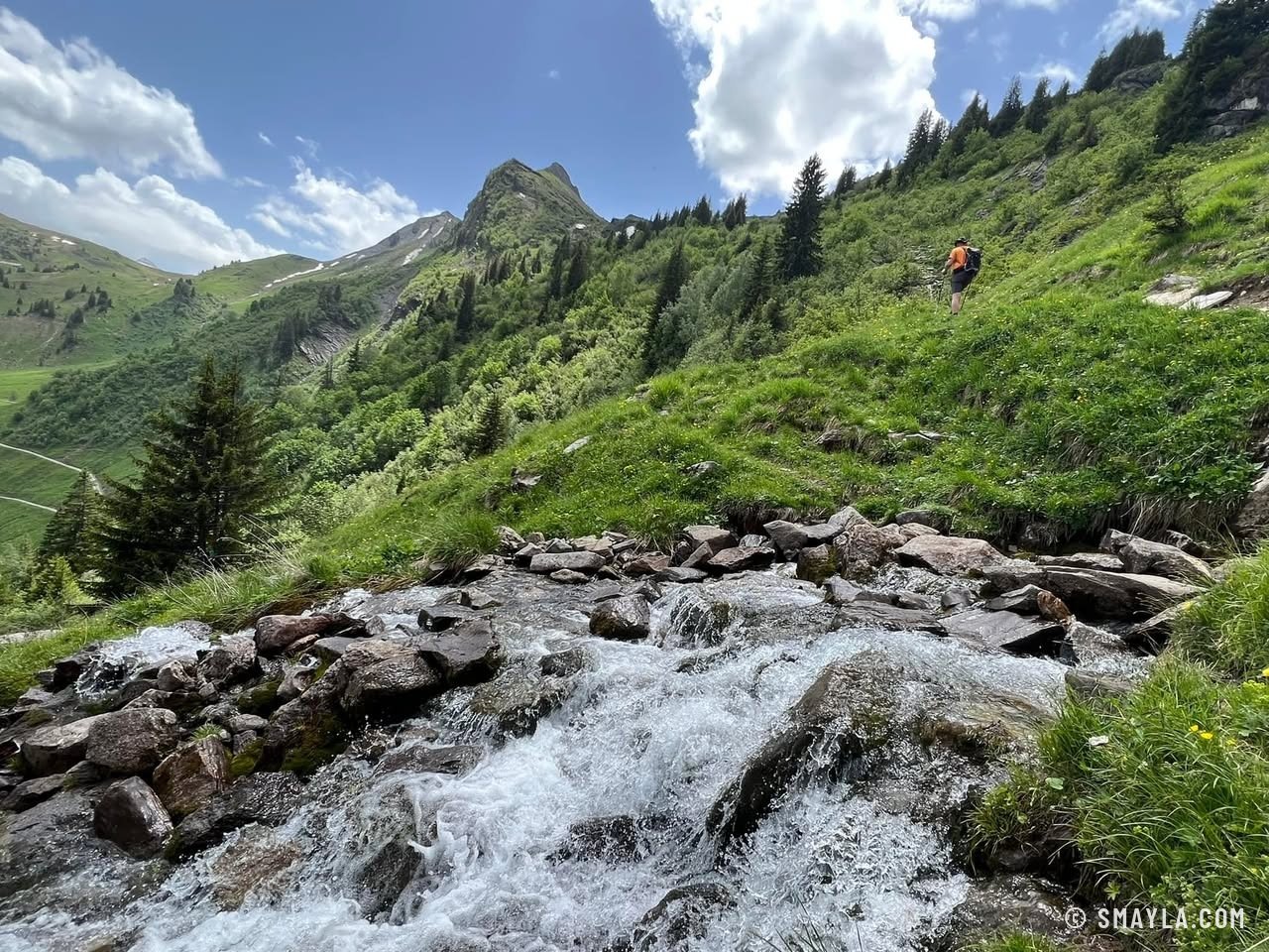 Le torrent dans le vallon