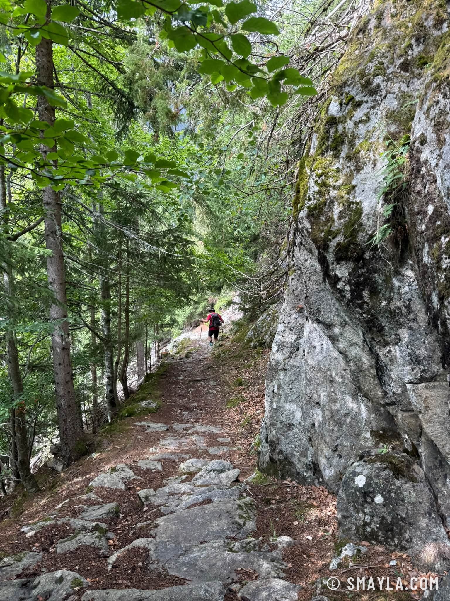 Sentier sous un rocher moussu