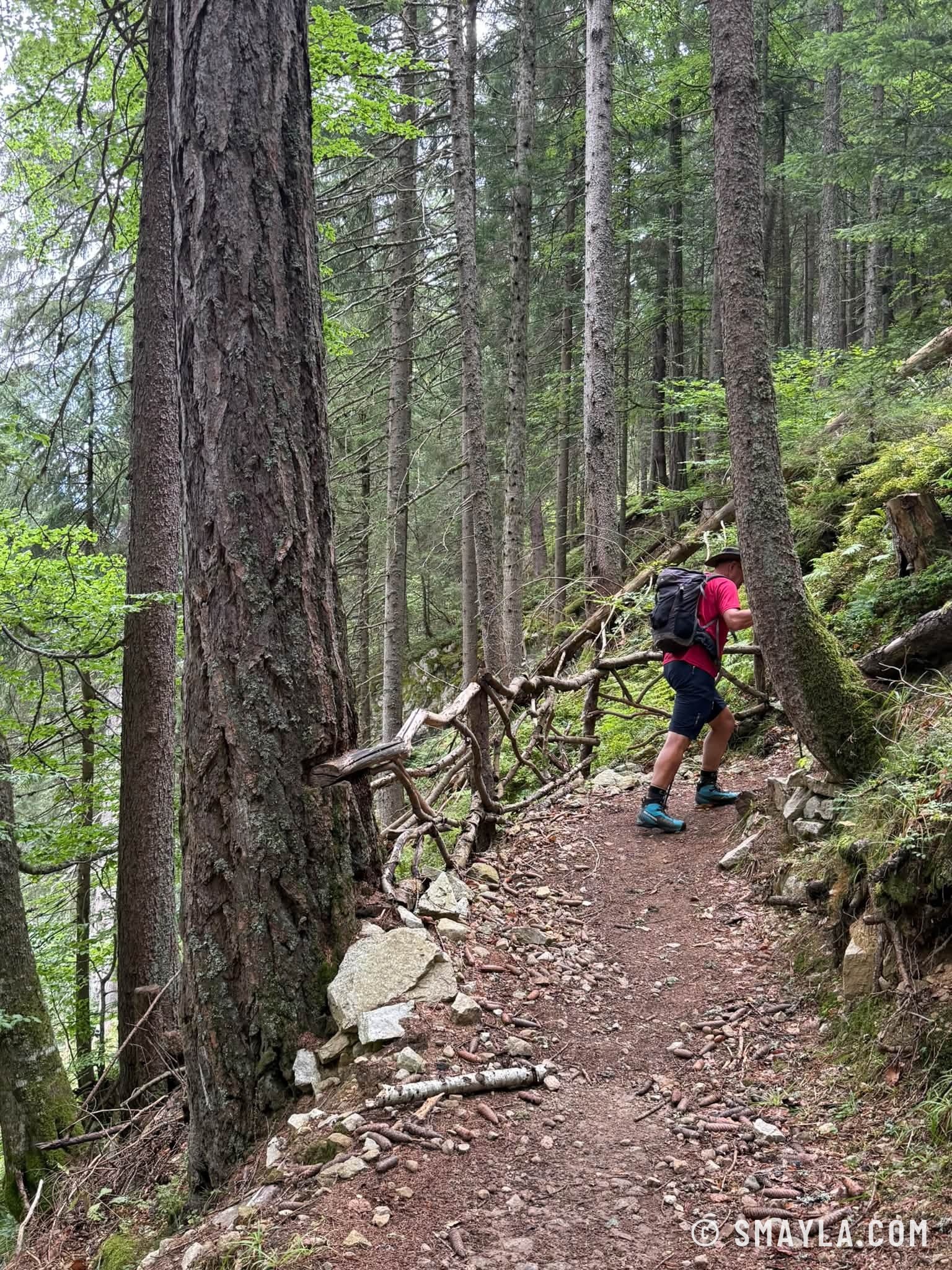 Christian dans la forêt