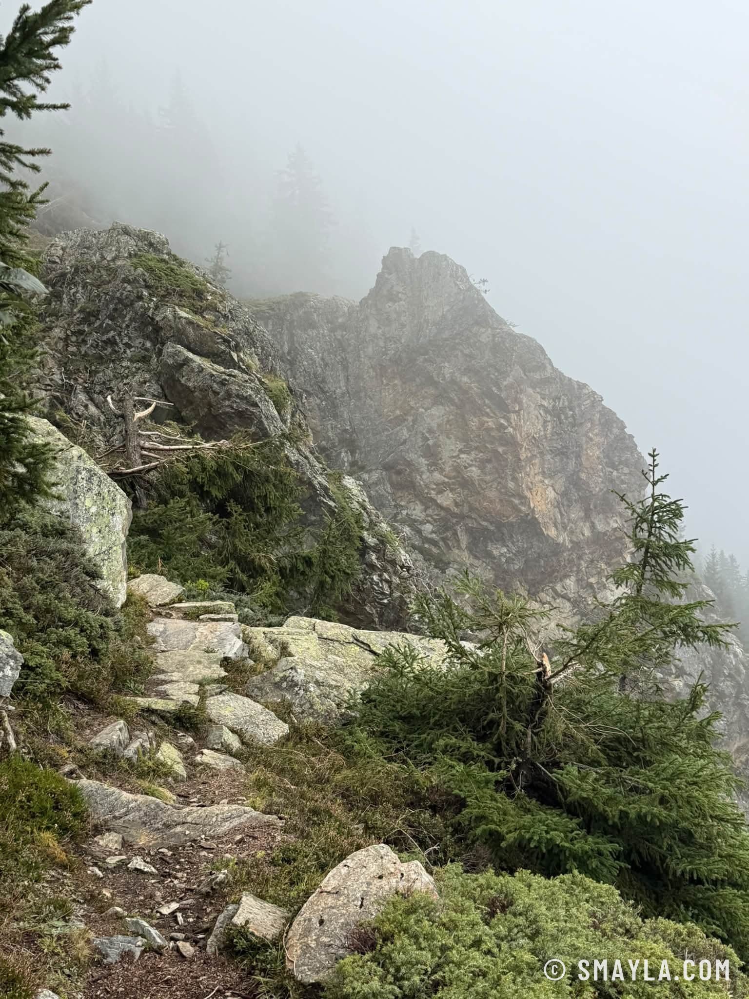 Rochers dans la brume
