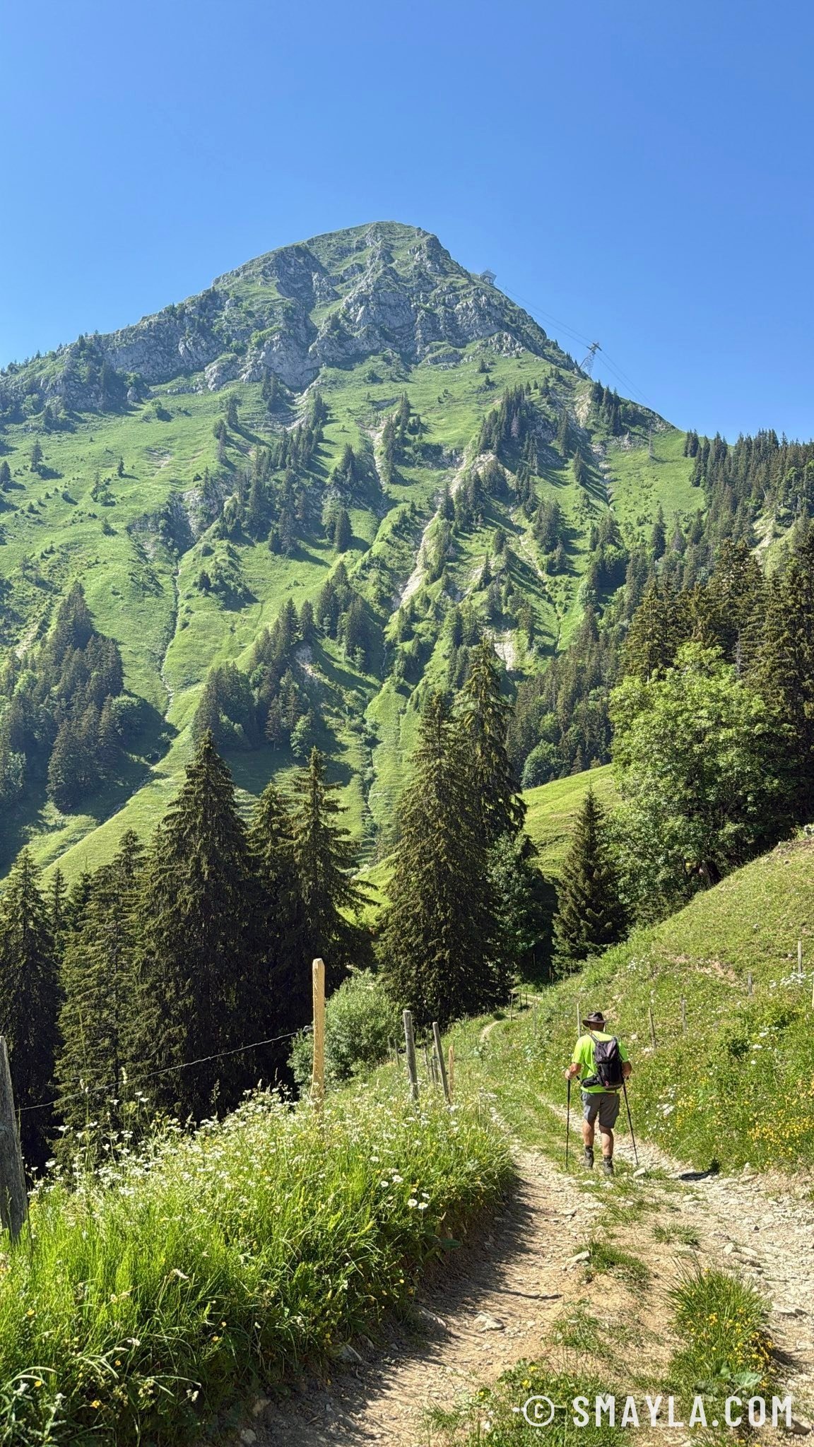 Wooded summit and path