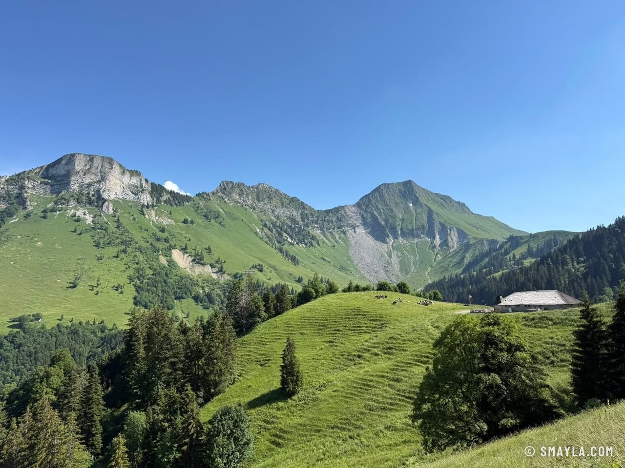 Gruyère pastures