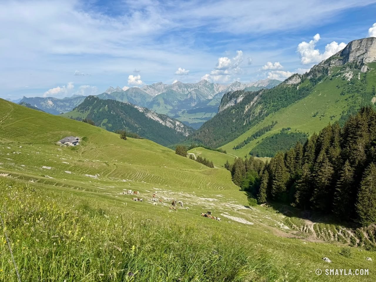 Valley towards the lake