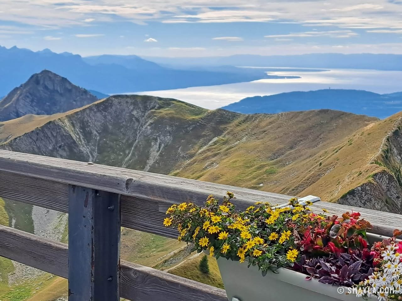 Lake Geneva from a flowery terrace