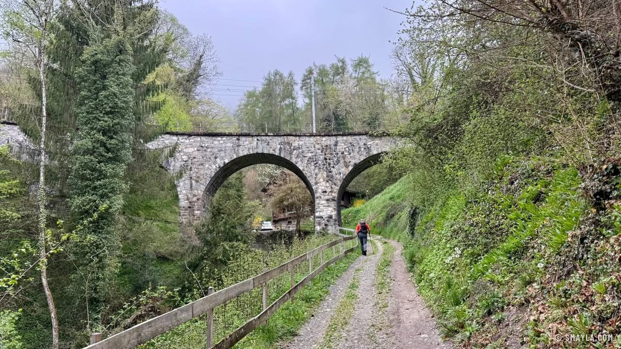 Le chemin sous le viaduc