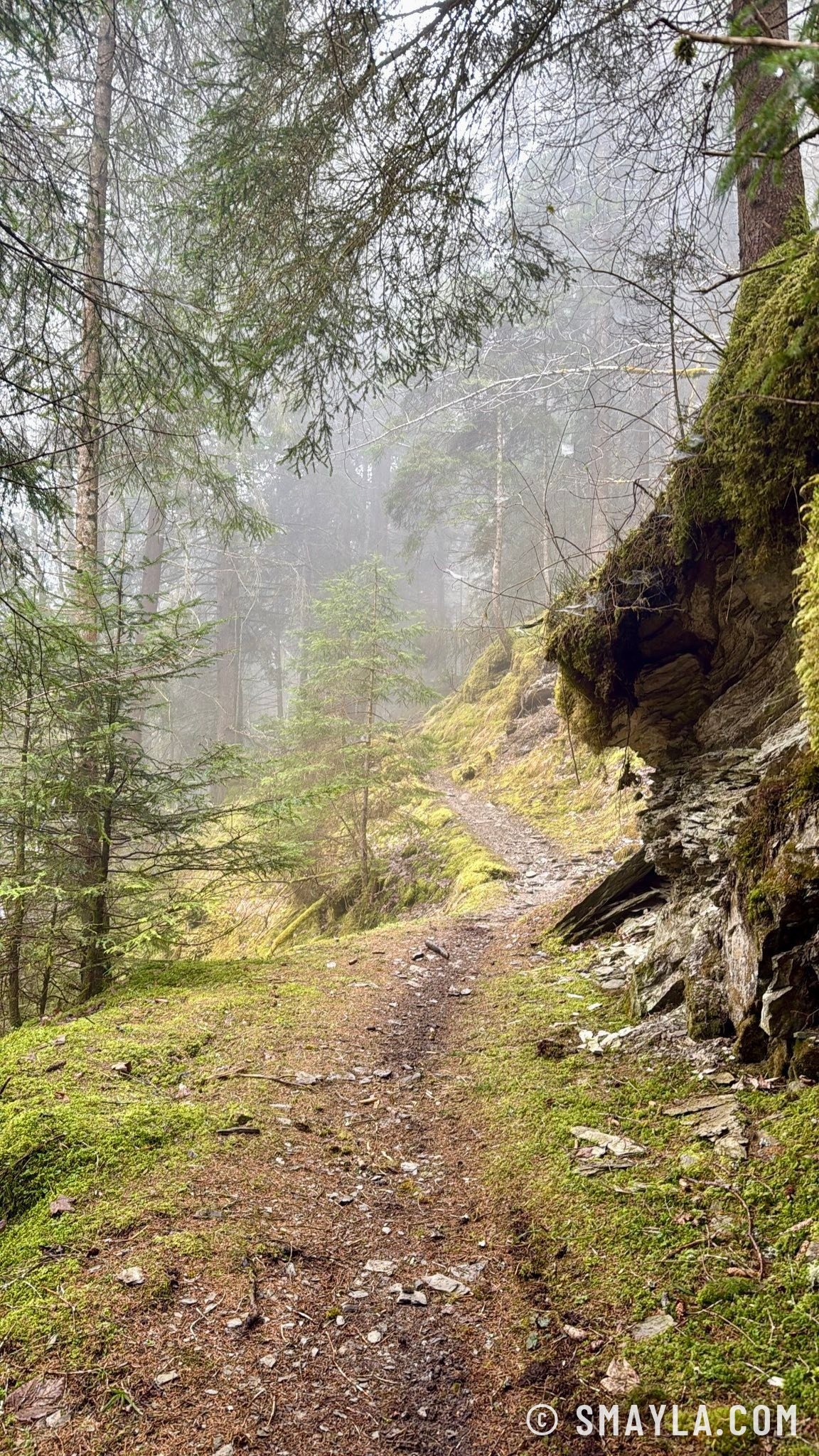 Sentier moussu