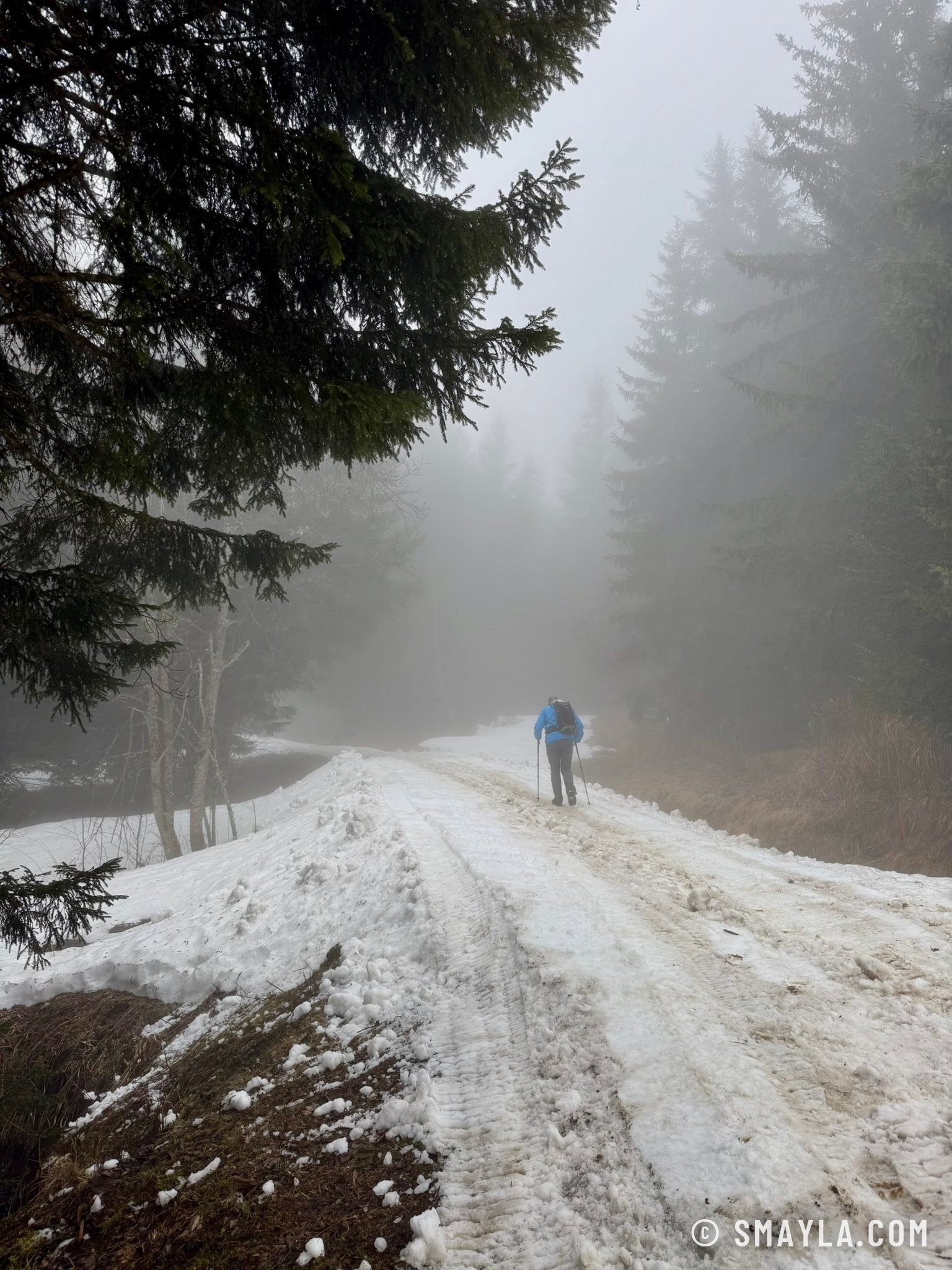 Neige au bord du chemin