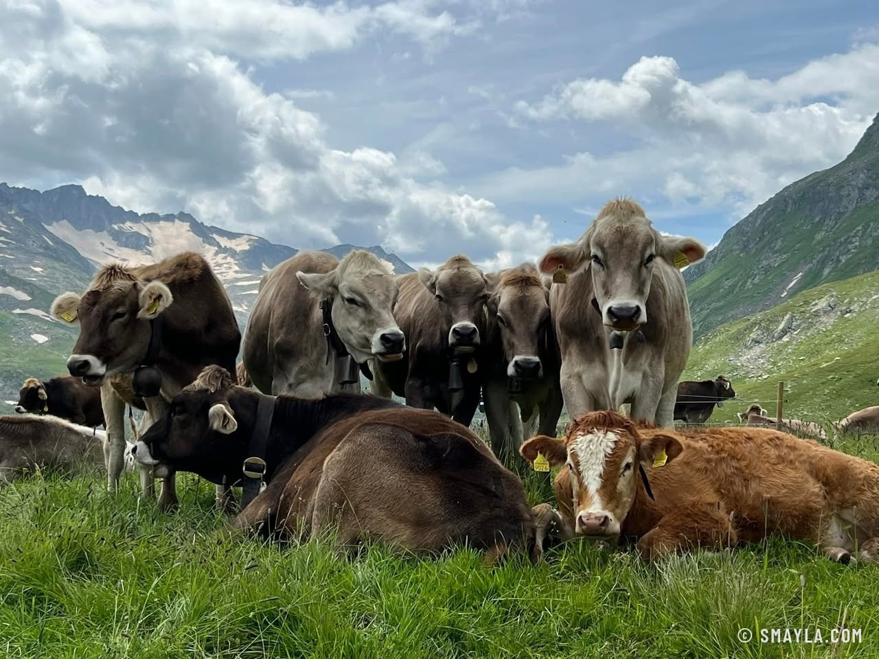 The group of friends