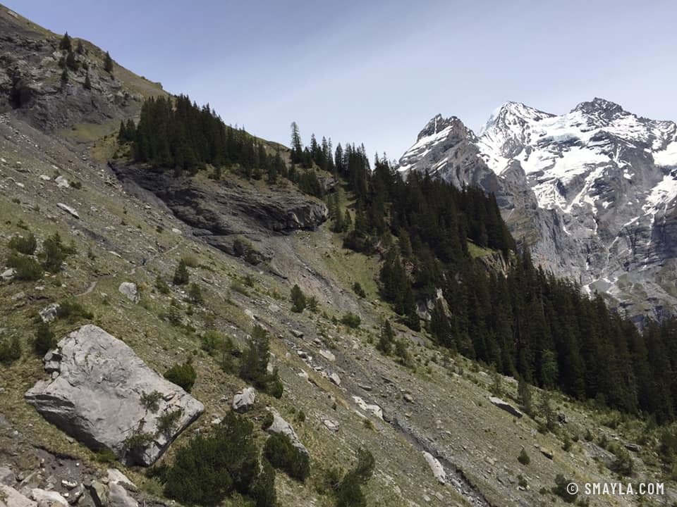 Bewaldeter Hang unter verschneiten Gipfeln