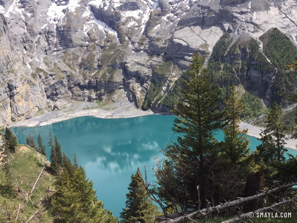Der Oeschinensee zwischen den Tannen
