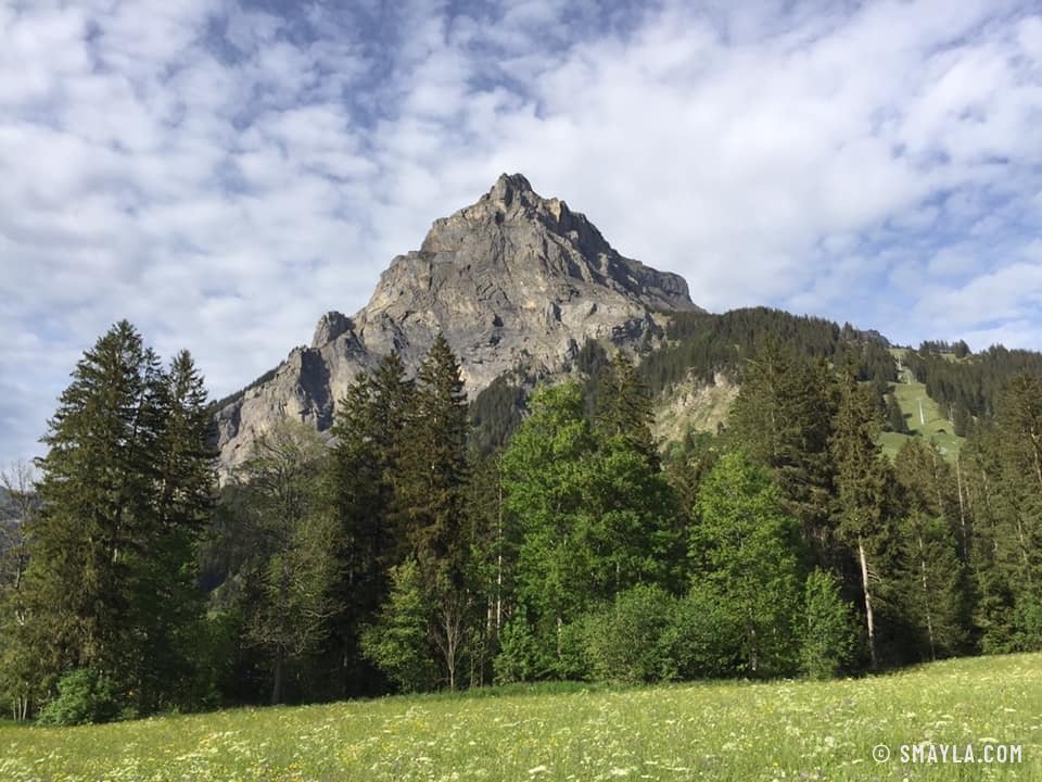 Felsgipfel über dem Wald