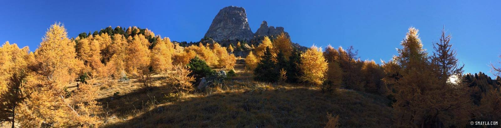 Panorama mit goldenen Lärchen