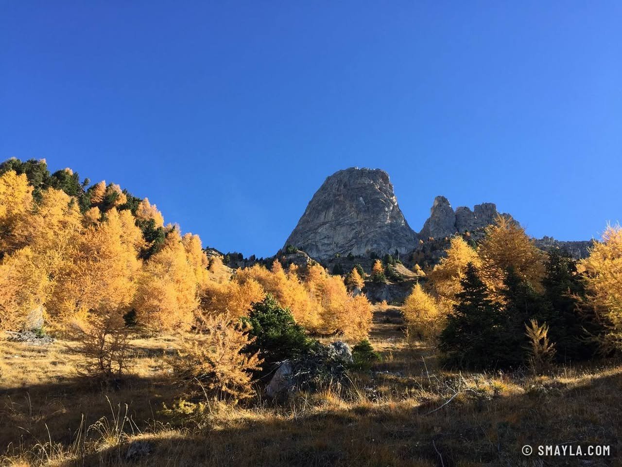 Der Felszahn über dem goldenen Wald