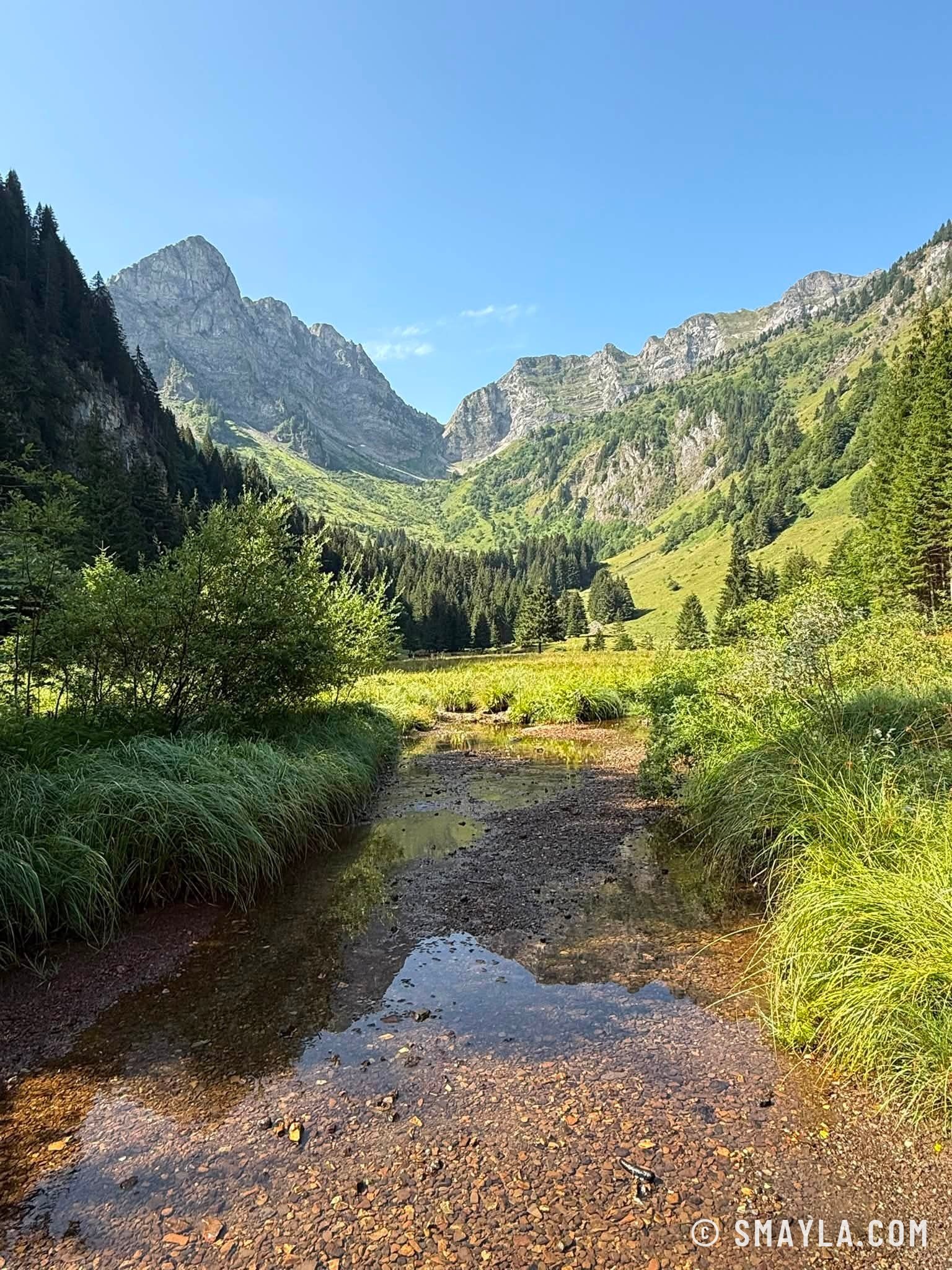 Ruisseau dans le vallon