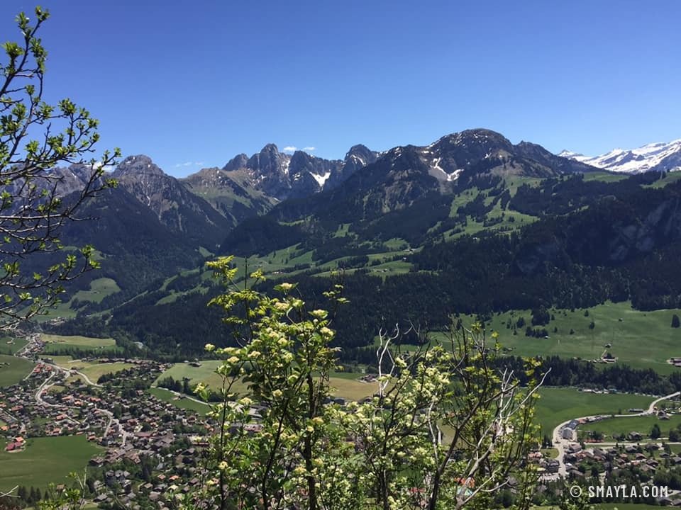 La vallée de Château-d'Œx