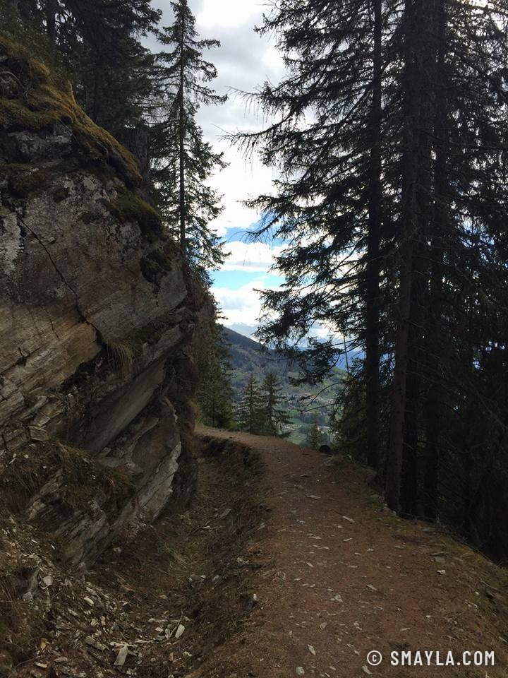 Sentier en balcon dans la forêt