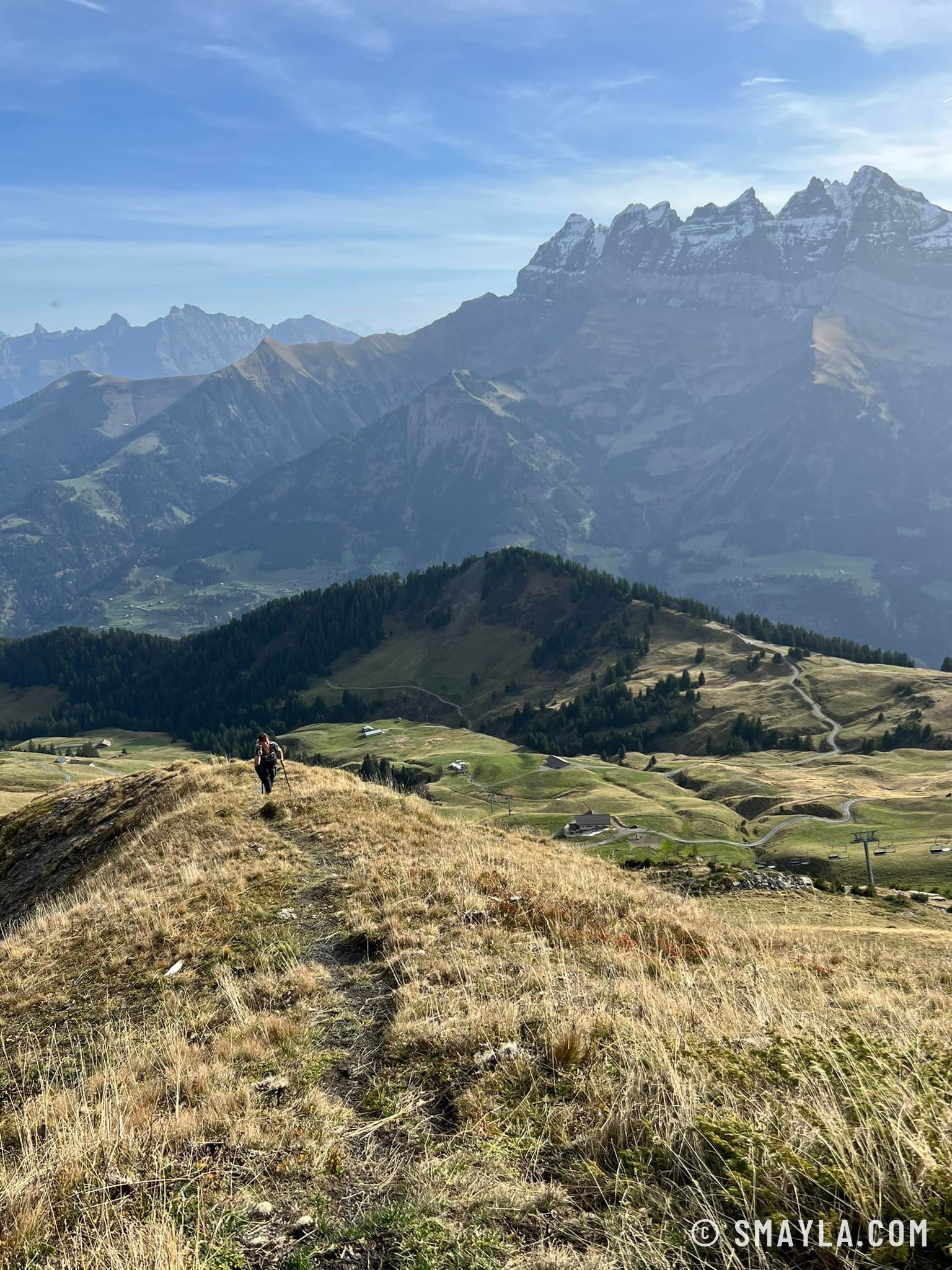 Sentier dans les herbes dorées face aux Dents du Midi