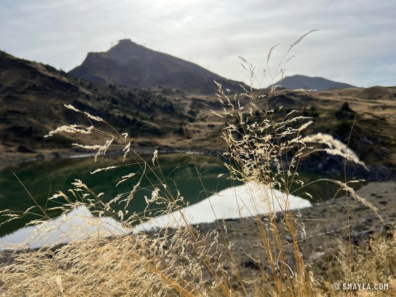 Herbes et lac