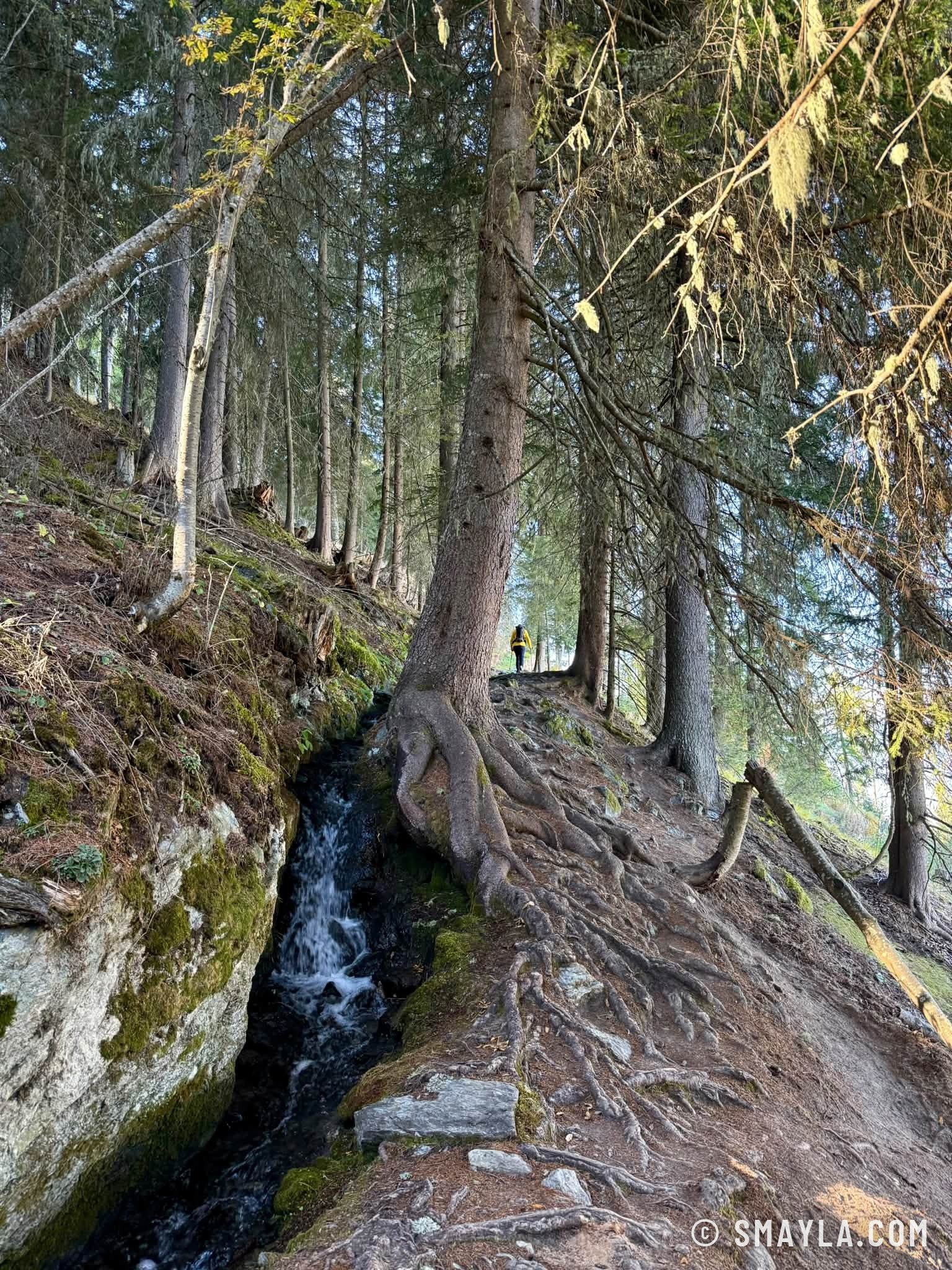Ruisseau du bisse en forêt