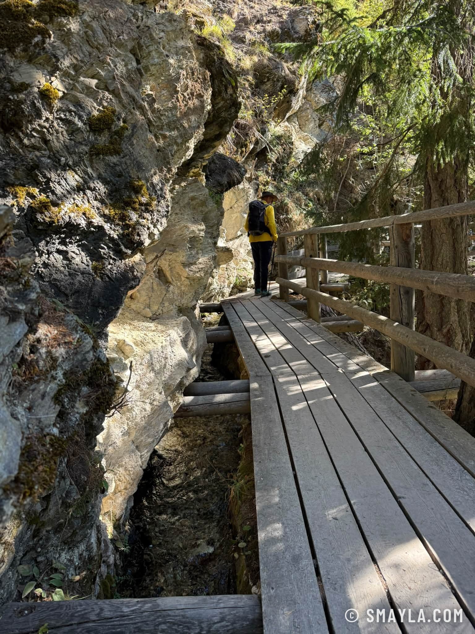 Passerelle de bois du bisse
