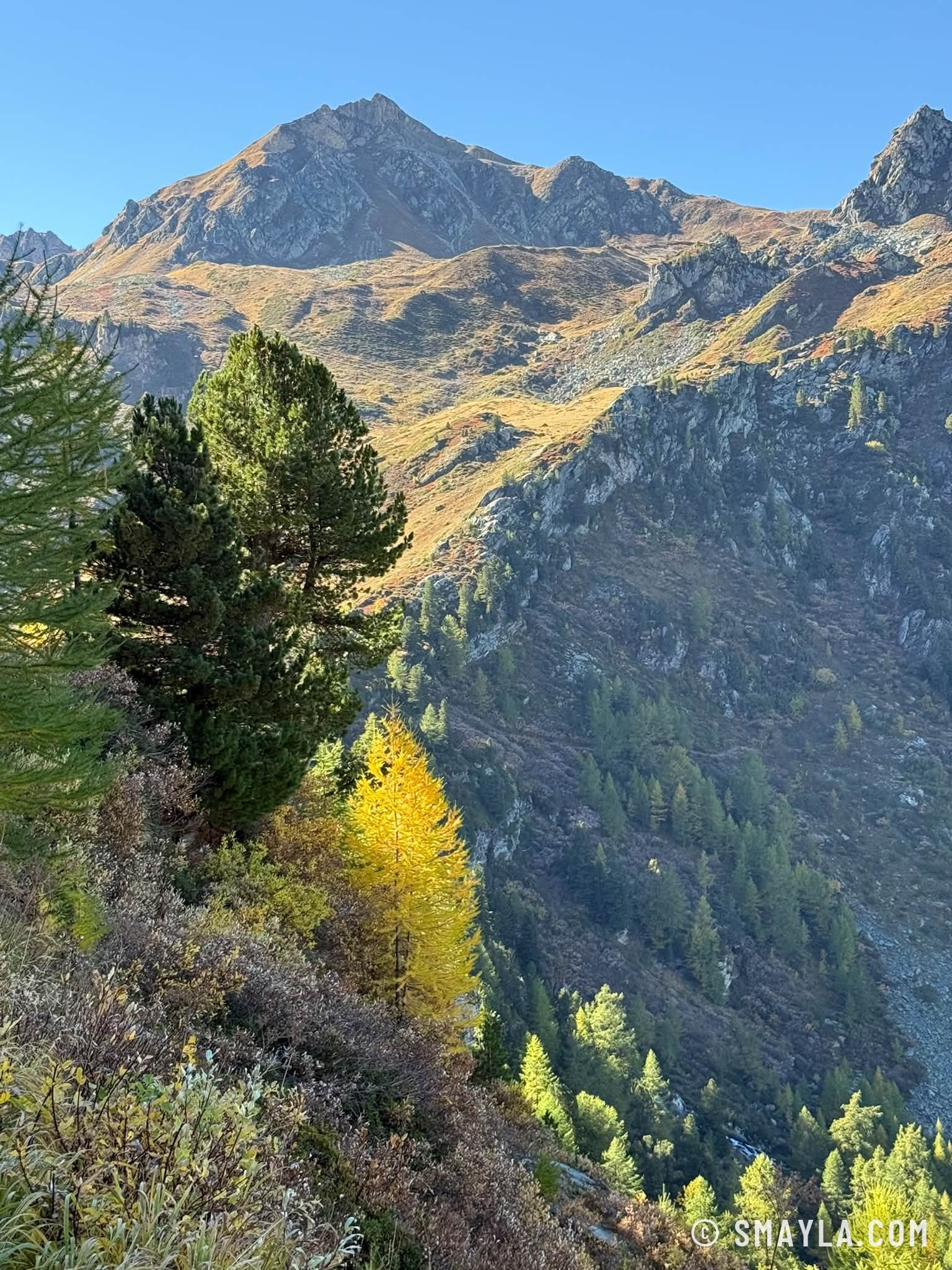 Sommet au-dessus de la forêt