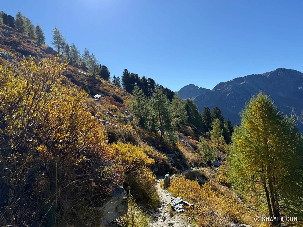 Sentier d'automne
