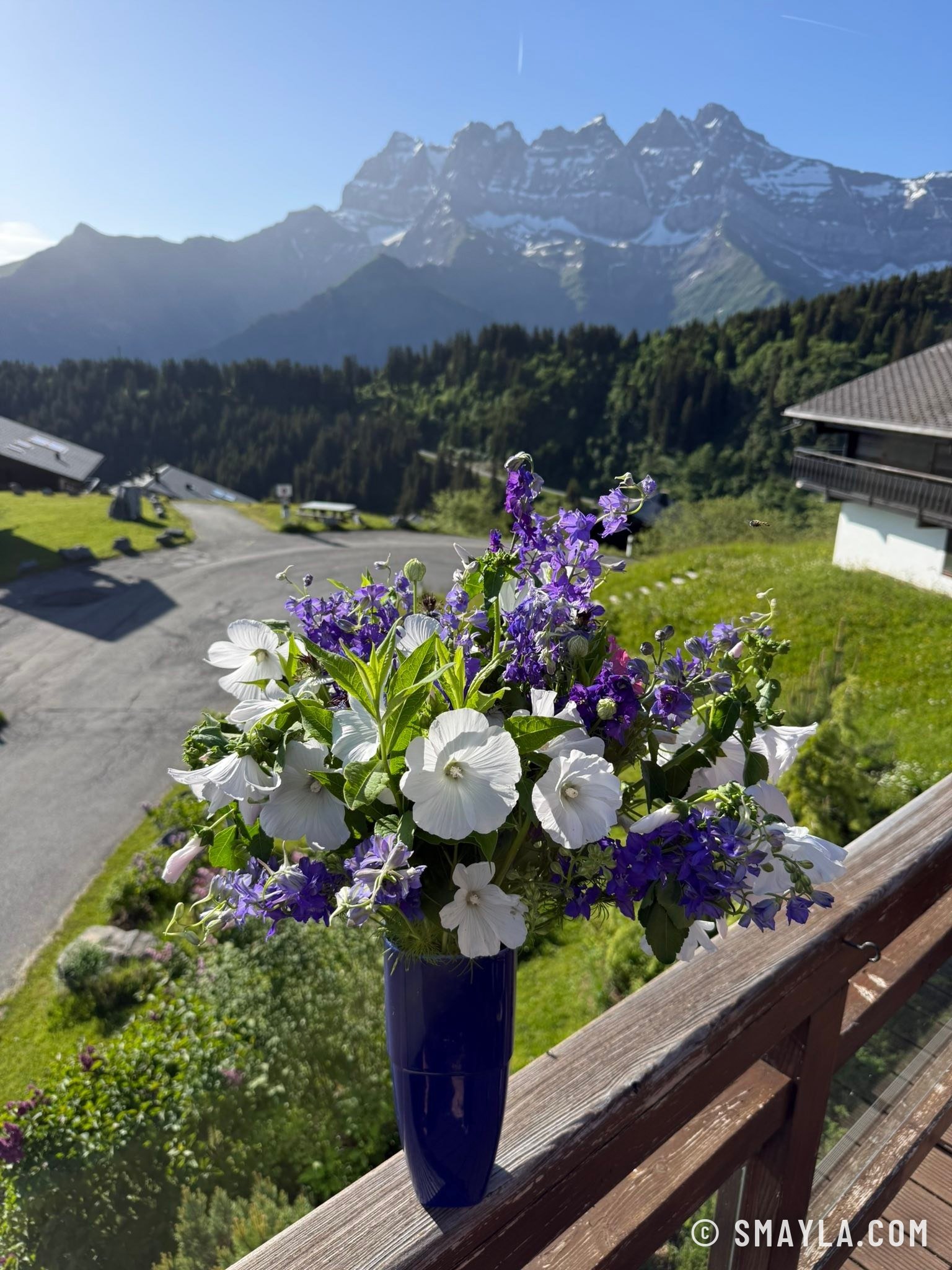 Garden bouquet facing the Dents du Midi