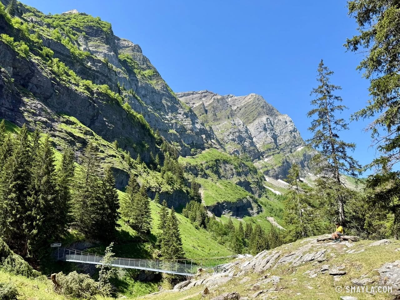 Footbridge and valley