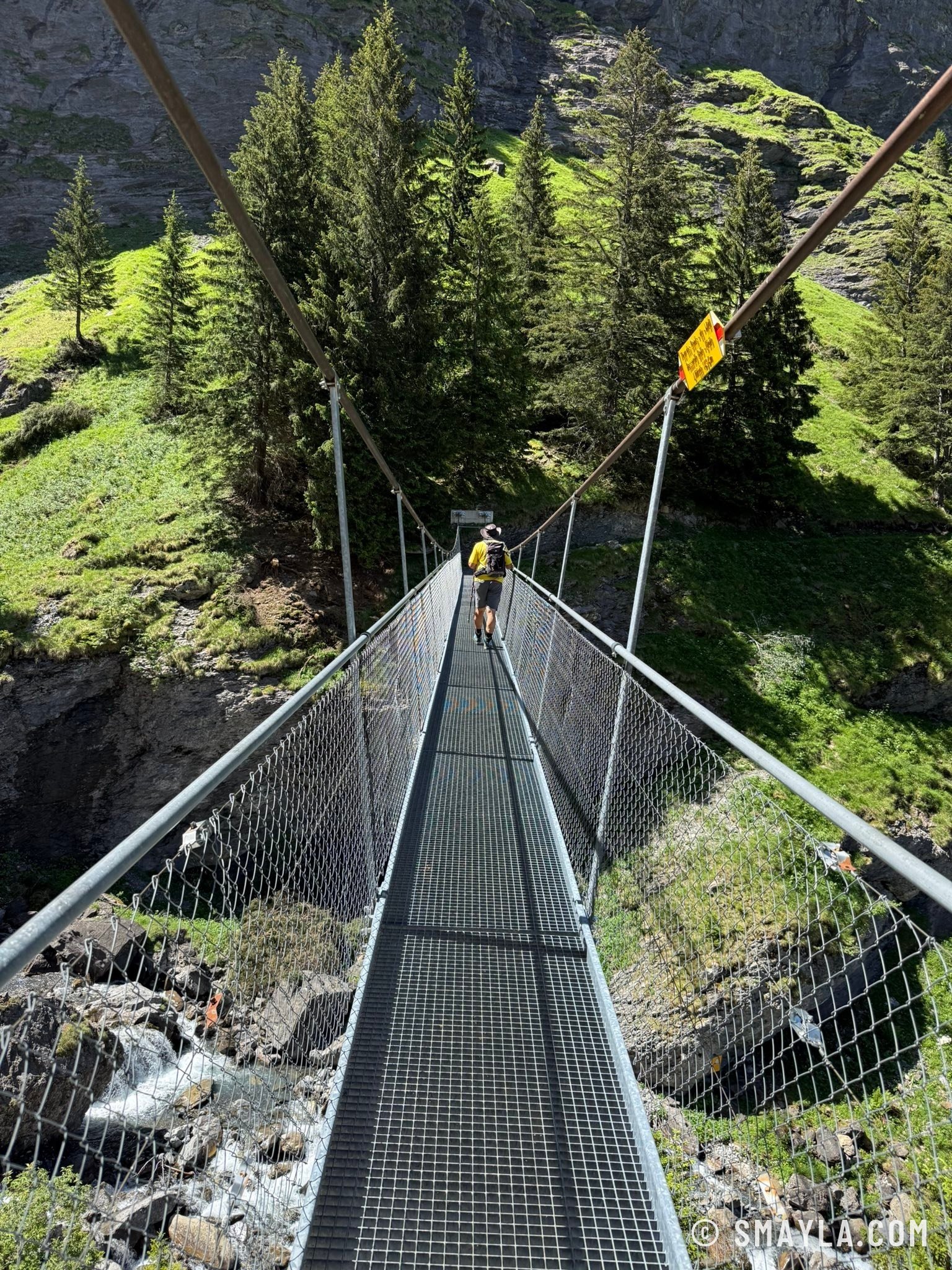 Suspension bridge