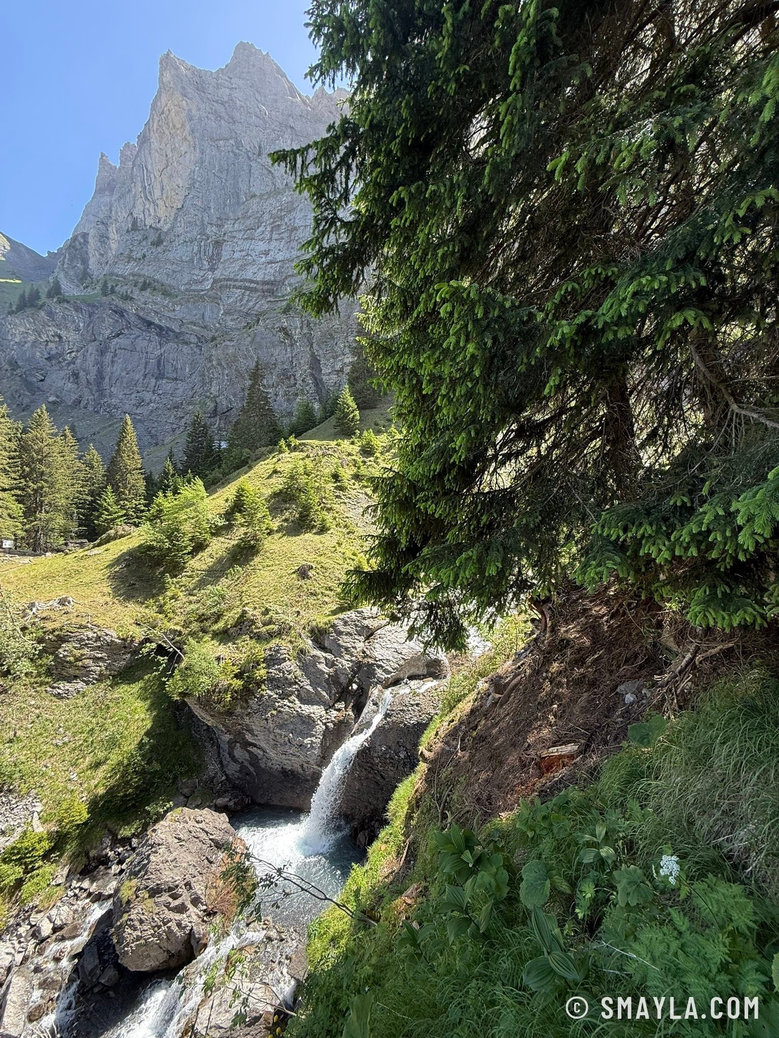Stream below a rock wall