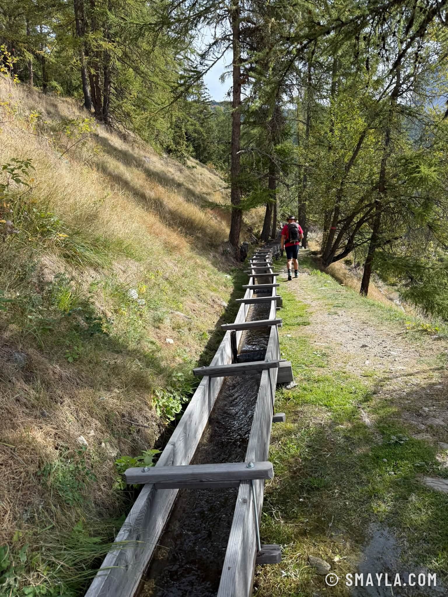Le bisse de Saint-Luc