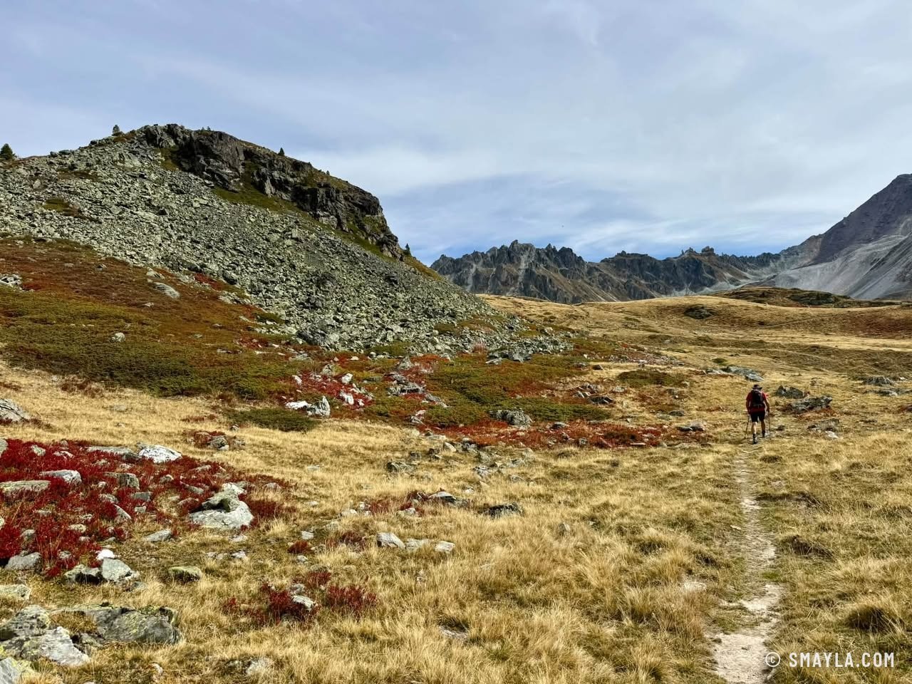 Sentier dans les myrtilles rouges