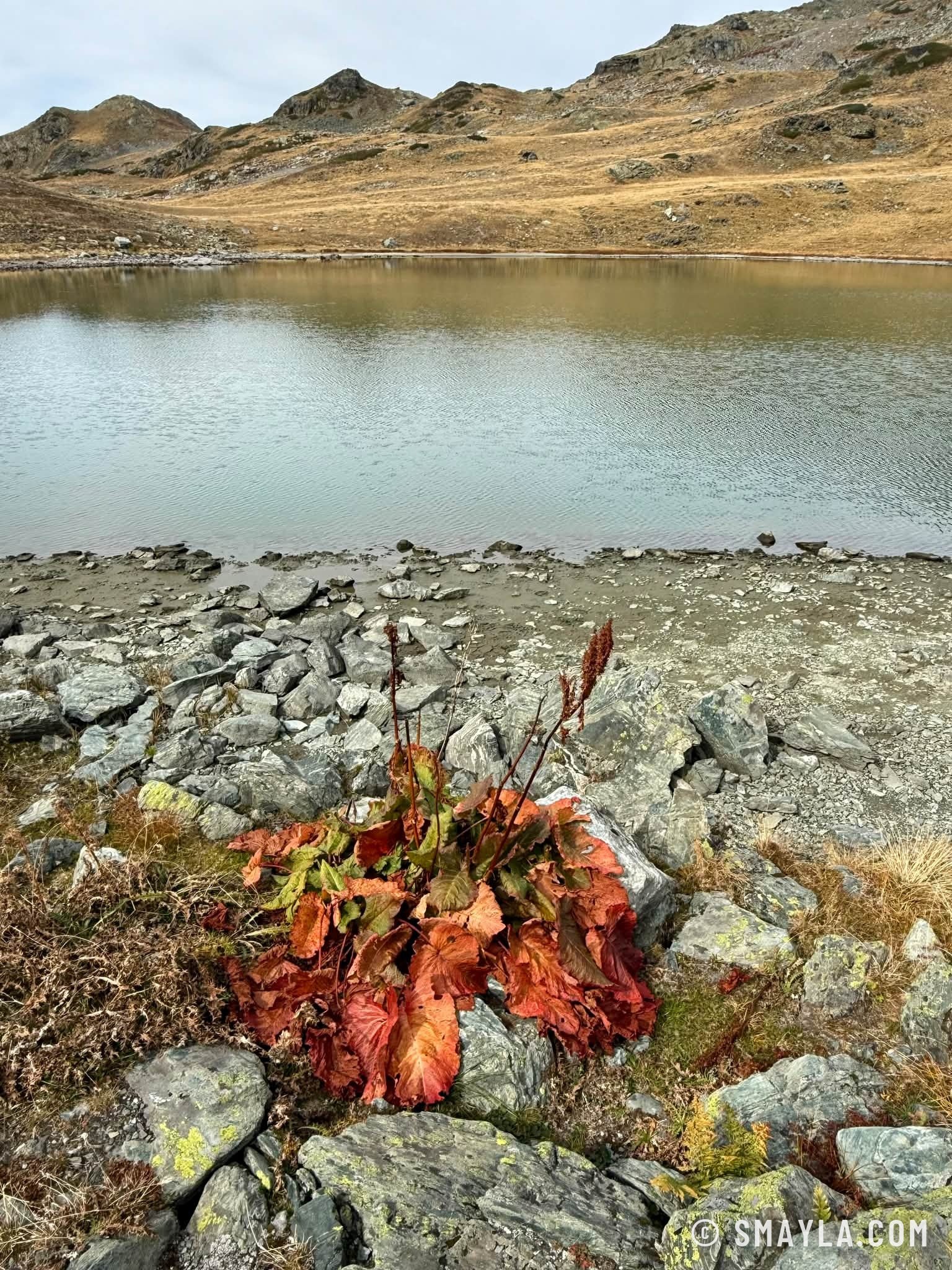 Lac d'altitude