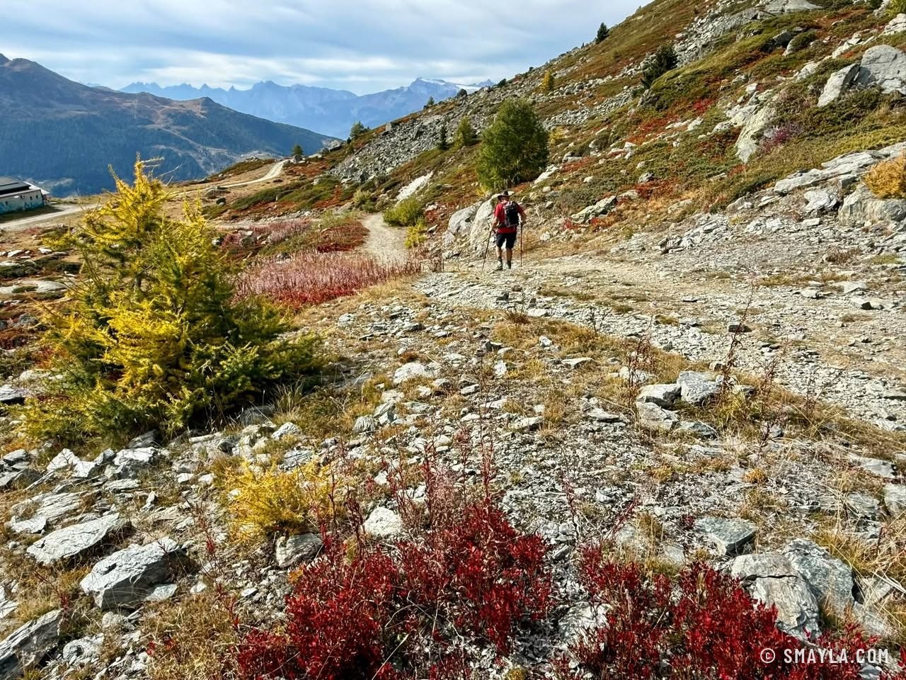 Sentier d'automne
