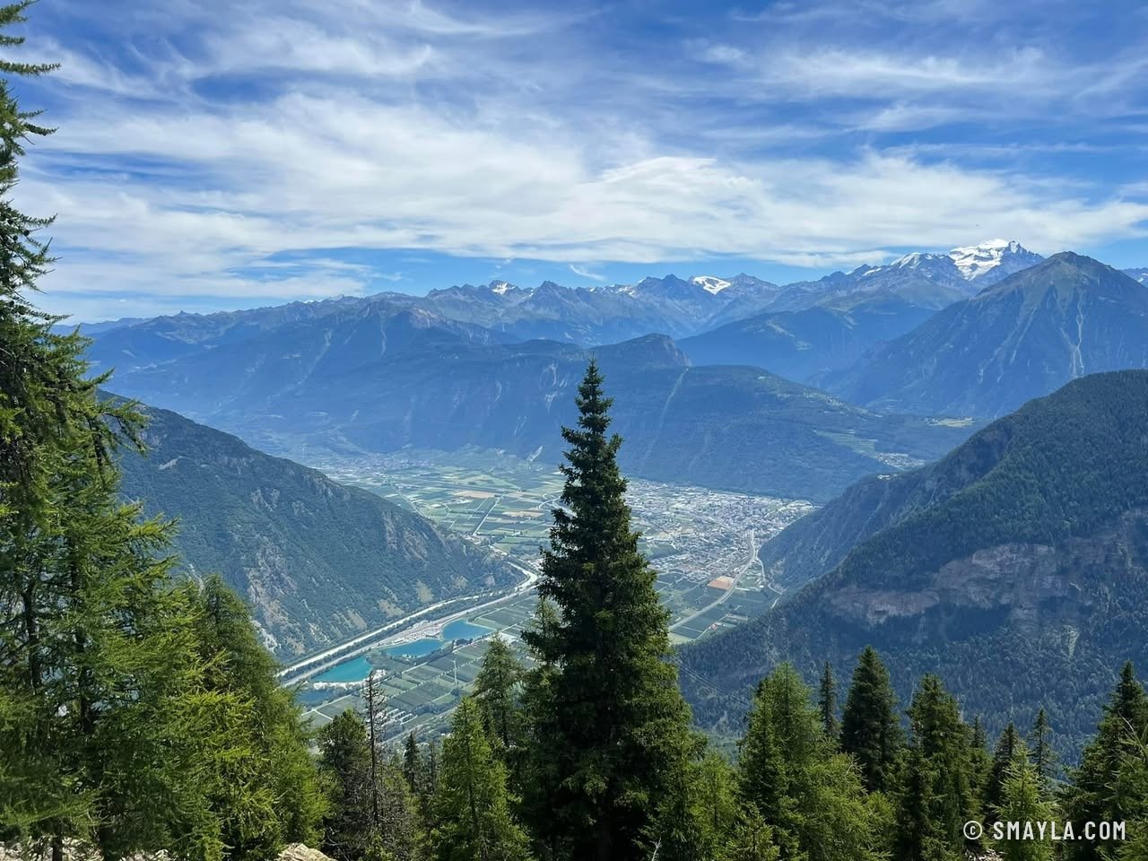 La plaine du Rhône depuis la forêt