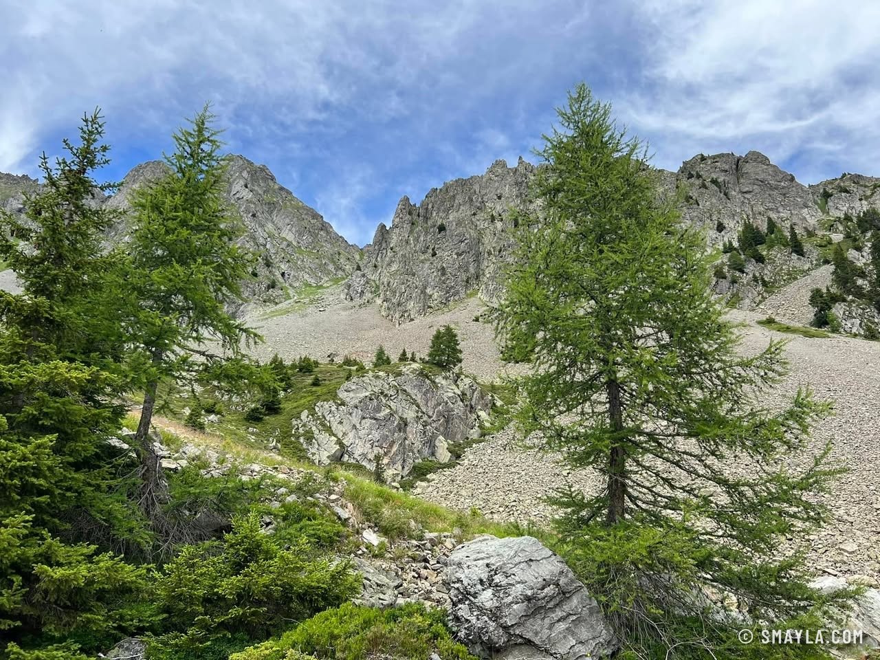 Mélèzes dans le vallon
