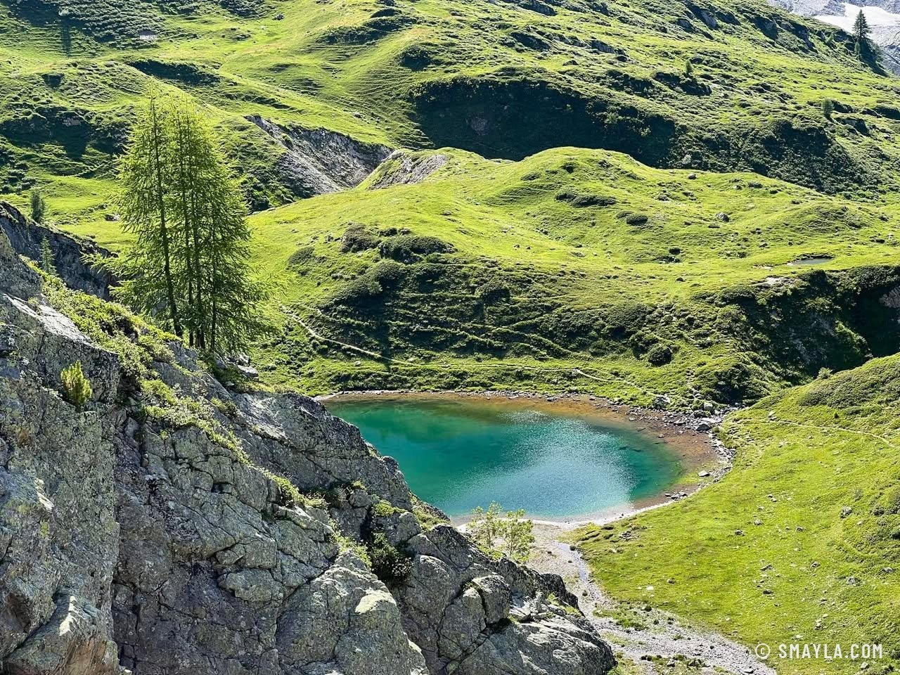 Laquet turquoise