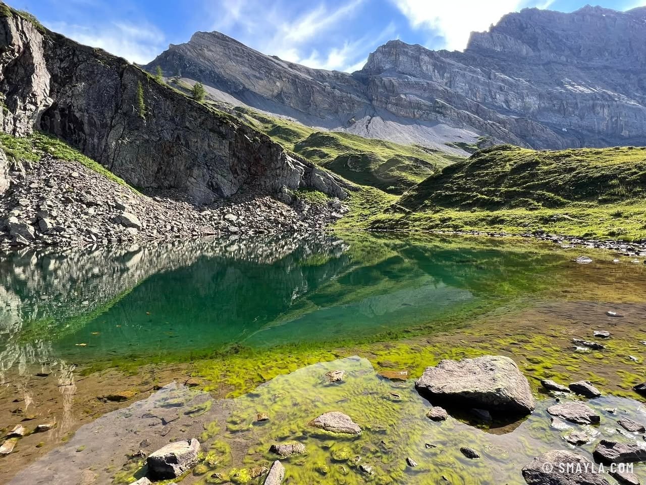 Laquet vert sous les parois