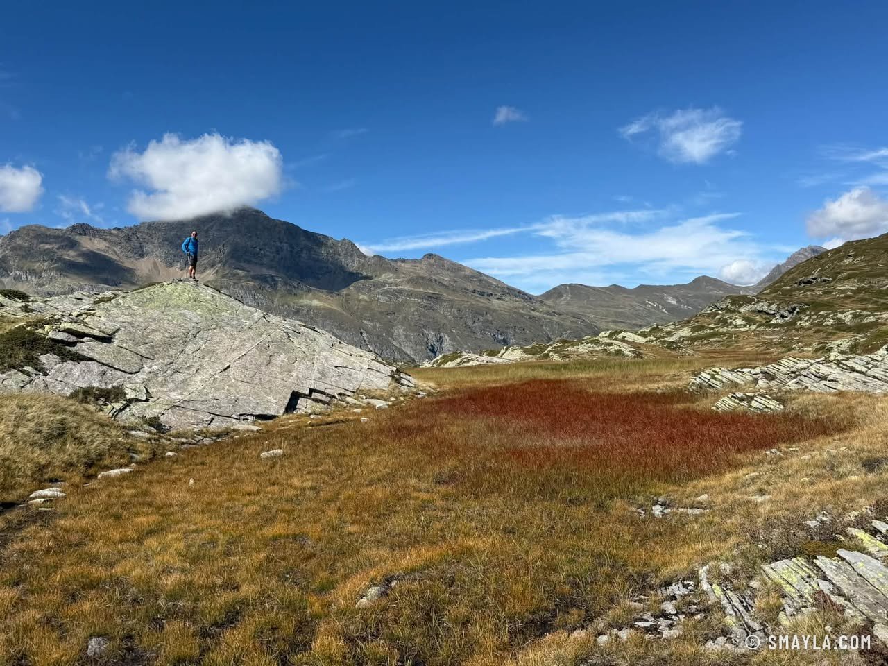 Russet bog and rock humps