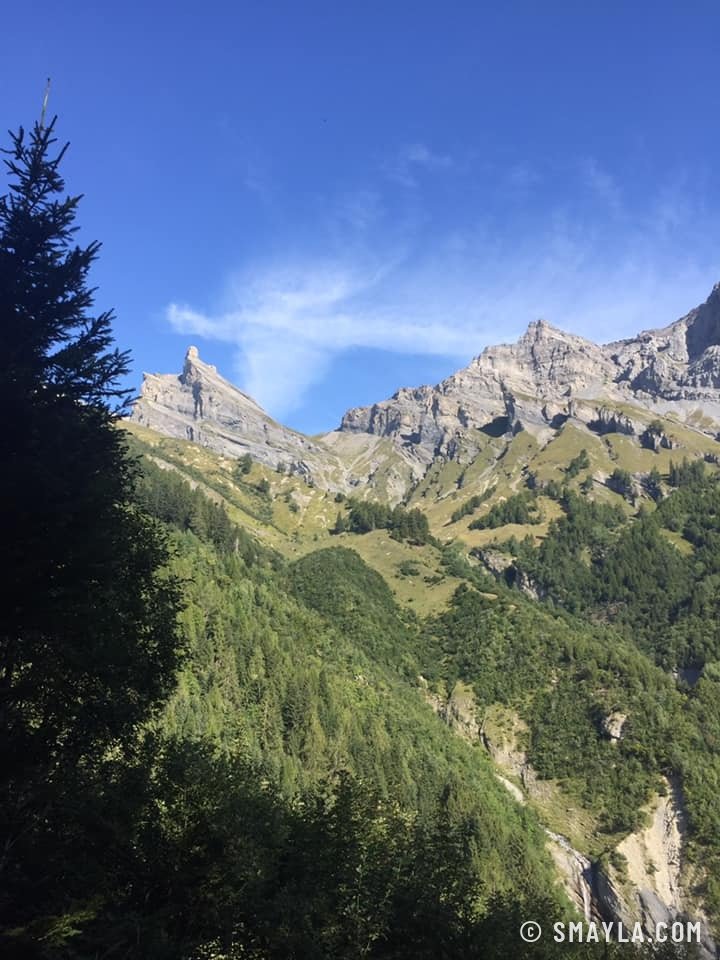 Crêtes calcaires au-dessus de la forêt