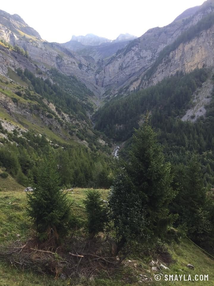 Le vallon boisé de Derborence